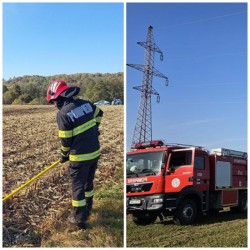 Pompierii arădeni au trecut la muncile agricole