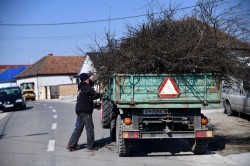 Start la curățenia de toamnă, la Pecica