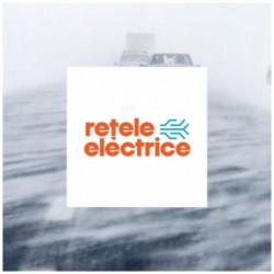 61 de localități din vestul țării au rămas fără energie electrică din cauza viscolului puternic. Rețele Electrice Banat a mobilizat toate echipele de intervenție

