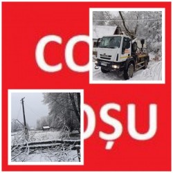 Locuitorii din 54 de comune din Arad, Timiș, Caraș-Severin și Hunedoara fără curent electric. Echipele de intervenție ale Rețele Electrice Banat au restabilit energia electrică pentru 15.000 de gospodării