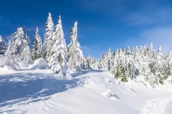 Decembrie ”normal” din punct de vedere climatic. Prognoza meteo pentru următoarele patru săptămâni

