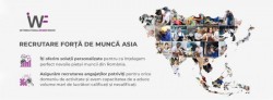 Companiile din România iau măsuri disperate pentru că nu mai găsesc angajați. Deficitul de forță de muncă este o problemă majoră pentru antreprenori