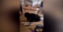 O elevă de 13 ani a fost umilită de alte 4 colege. Copila a fost îndemnată să meargă în genunchi și să latre. Scenele au fost filmate și postate pe TikTok
