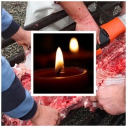 Doi bărbați din localități diferite au murit la interval de câteva ore la Pomana Porcului! Ambii s-au înecat cu bucăți de carne

