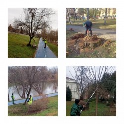Întreținerea parcurilor de pe malul Mureșului: un mediu verde, curat și primitor pentru arădeni

