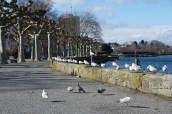 Vremea se încălzește după jumătatea lunii. Prognoza meteo pentru următoarele patru săptămâni


