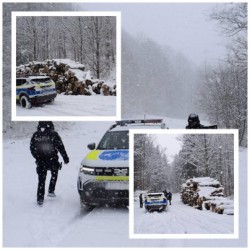 Controale în pădurile din județul Arad... doar că rezultatele nu se prea văd