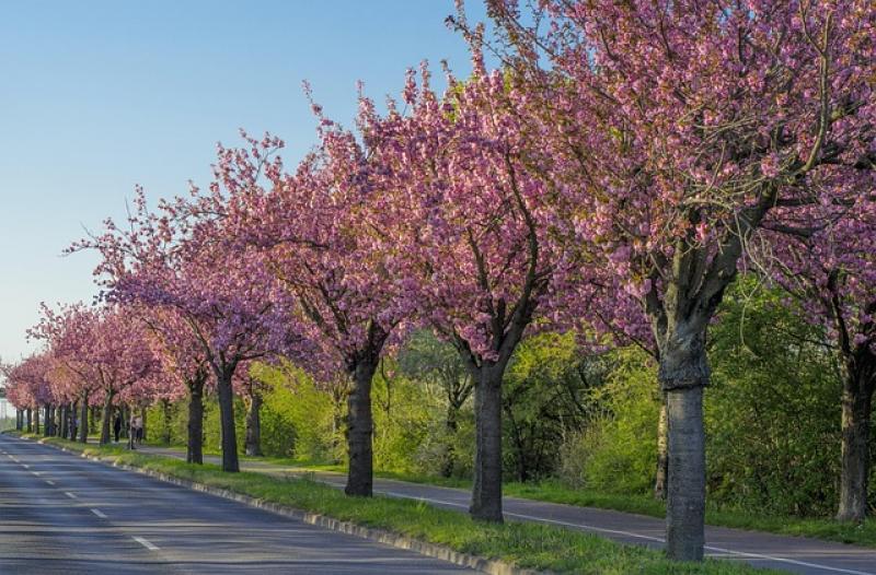 Prognoza meteo pentru următoarele patru săptămâni. Temperaturi uneori mai ridicate decât cele normale pentru această perioadă

