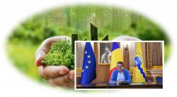 Aradul verde începe cu tine - „Adoptă un spațiu verde”