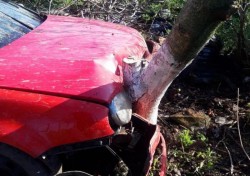 Două victime după ce o mașină a intrat într-un copac pe Calea Timișorii