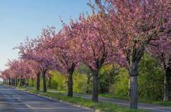 Prognoza meteo pentru următoarele patru săptămâni. Temperaturi uneori mai ridicate decât cele normale pentru această perioadă

