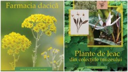 Expoziția: „PLANTE DE LEAC DIN COLECȚIILE MUZEULUI”
