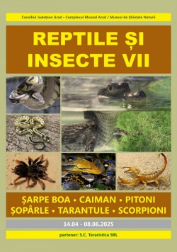 Expoziția „Reptile și Insecte vii” la Complexul Muzeal Arad 
