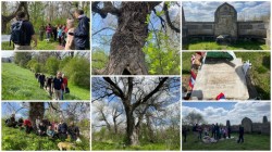 „Pe urmele arborilor remarcabili ai Aradului” – Tur ghidat prin biodiversitatea urbană a Luncii Mureșului