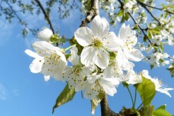 Cum va fi vremea în minivacanța de 1 mai. Prognoza meteo pentru următoarele patru săptămâni