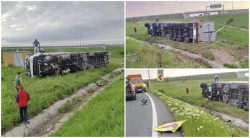 Un TIR a ieșit în décor și s-a răsturnat pe autostrada A1 în zona Orțișoara