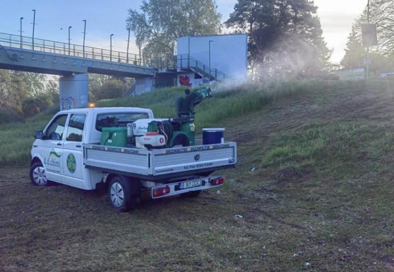 2-6 iunie, o nouă acțiune de dezinsecție în municipiu, a treia din acest an