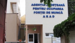 Bursa generală a locurilor de muncă are loc ăn 23 mai la sediul AJOFM ARAD