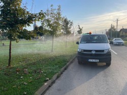 În intervalul 14-23 mai 2025, o nouă acțiune de dezinsecţie în municipiu