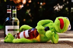 Consumul nociv de alcool duce la decesul a 3 milioane anual pe plan mondial. ”Fii tu însuți! Nu ai nevoie de alcool!”