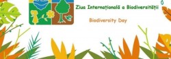 22 mai - Ziua Internațională a Biodiversității