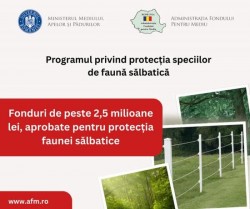 Fonduri de peste 2,5 milioane de lei aprobate pentru protecția faunei sălbatice

