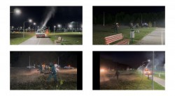  Ultimele acțiuni de dezinsecţie din iunie în municipiul Arad

