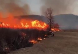 17 hectare de grâu au fost mistuite joi de flăcări în județul Arad. Bilanțul misiunilor pompieriloe arădeni din ziua de 26 iunie 