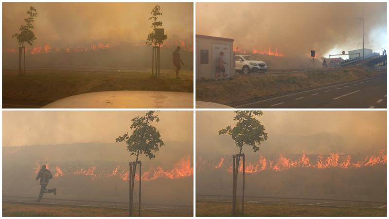 Arde vegetația uscată de pe faleza din Alfa!