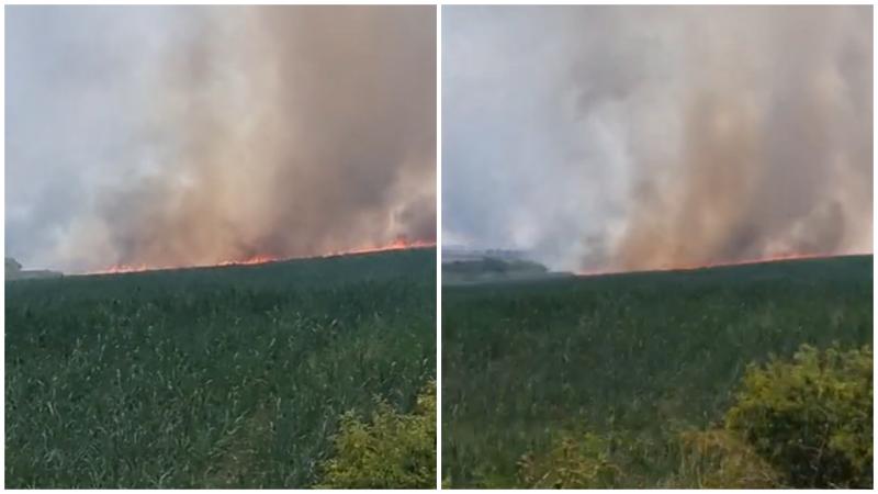 50 de ha de vegetatie și culturi agrícola în zona localităților Semlac-Șeitin