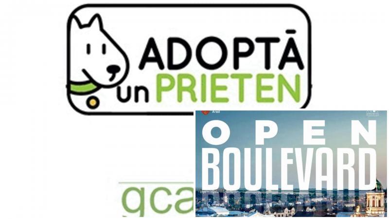Târg de adopție canină, ediția a II-a, la Open Boulevard