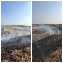 Câmpurile Aradului în flăcări! Doar într-o lună, 95 de hectare de teren, dintre care 73 agricole, afectate de incendii