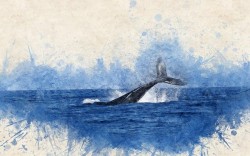 23 iulie - Ziua Mondială a balenelor şi delfinilor

