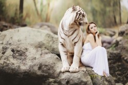 29 iulie - Ziua Internaţională a Tigrului

