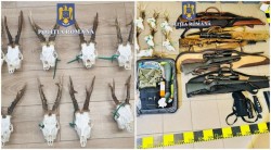 Trei austrieci prinși la Pilu cu 9 trofee de căprior a căror proveniență nu a putut fi stabilită