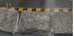 Peste 13 kilograme de canabis, descoperite de polițiștii și procurorii arădeni la un tânăr de 22 de ani