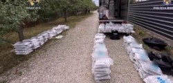 Aproape 1.700 de persoane cercetate în urma celor 538 de acțiuni pentru combaterea traficului de droguri, în primele 7 luni ale anului 2025