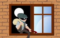 Hoț din locuințe din Târnova, reținut de polițiștii arădeni după două spargeri în Arad
