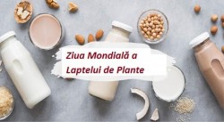 22 august - Ziua Mondială a Laptelui de Plante. Repere din istoria Zilei Mondiale a Laptelui de Plante