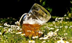 Arădeni, hidratați-vă cât de mult puteți: recomandare de la pompieri în zi de Cod Galben de caniculă