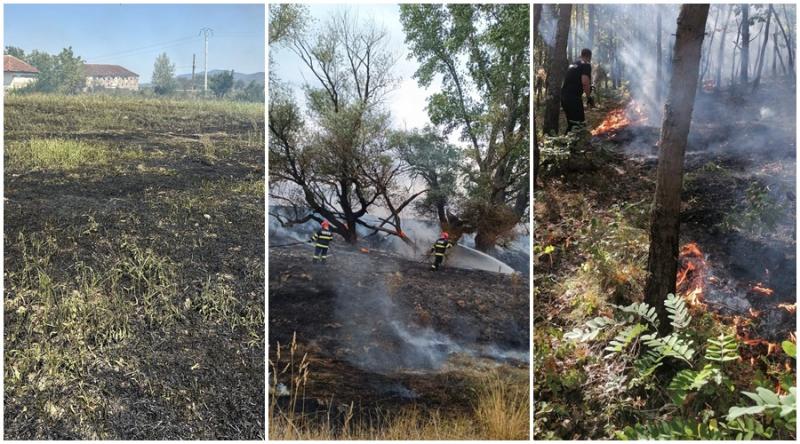 Zece incendii de vegetație în doar trei zile în județul Arad. Bilanțul misiunilor pompierilor arădeni în acest sfârșit de săptămână