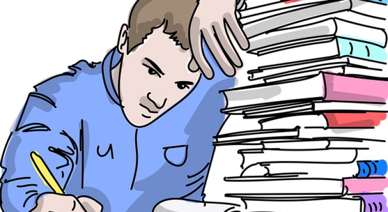Bursele pentru studenți în anul universitar 2025-2026: minimum 925 lei bursa socială, 2.165 lei bursa pentru masterat didactic și 3.700 lei bursa de doctorat – proiect 
