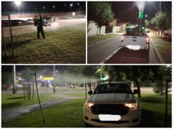 În perioada 8 -12 septembrie, Primăria Arad anunță noi acțiuni de dezinsecţie în municipiul 