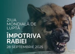 La fiecare 9 minute, cineva moare din cauza rabiei! 28 septembrie - Ziua Mondială de Luptă Împotriva Rabiei