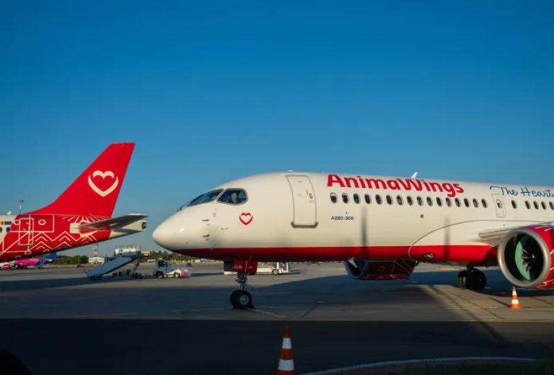 AnimaWings vrea o flotă de 18 avioane în următorii doi ani. Din toamna acestui an, compania a anunţat lansarea a 18 rute noi
