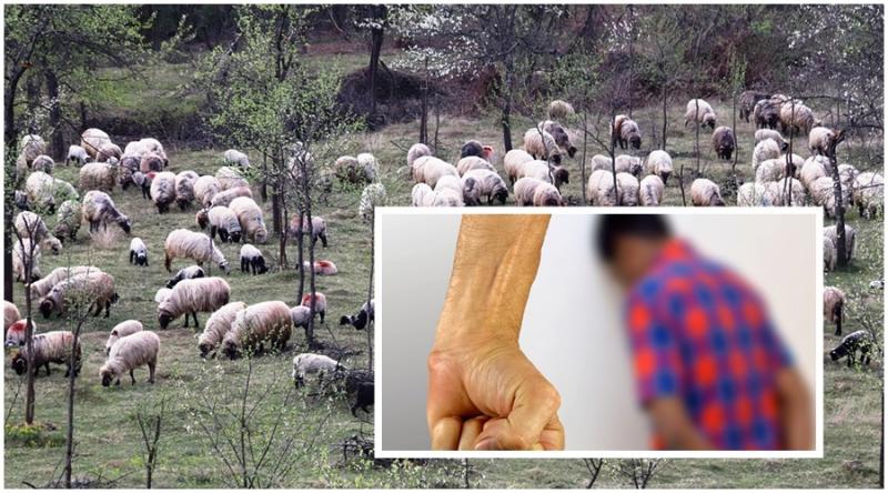 Părinții a doi copii din județul Arad au fost trimiși de procurori în judecată pentru violență în familie și rele tratamente aplicate minorului