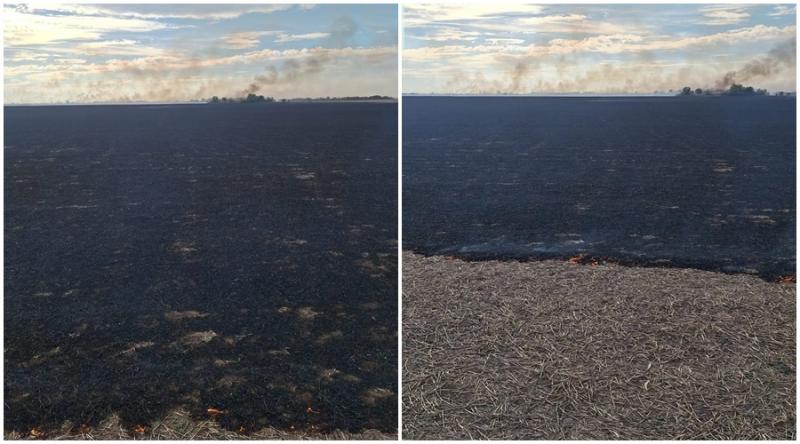 Arădeni nu vă mai jucați de-a piromanii căci riscați mult! 50 de hectare de vegetație uscată în flăcări la Nădab, cu riscul de propagare la construcții

