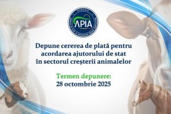 APIA primește până la 28 octombrie cererile pentru acordarea ajutorului în sectorul creșterii animalelor