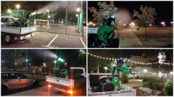 Ultimele acțiuni de dezinsecţie din acest an din municipiu au loc între 8 și 10 octombrie