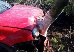 Doi tineri grav răniți, dintre care unul în stare de inconștiență, după ce mașina în care se aflau a intrat într-un copac